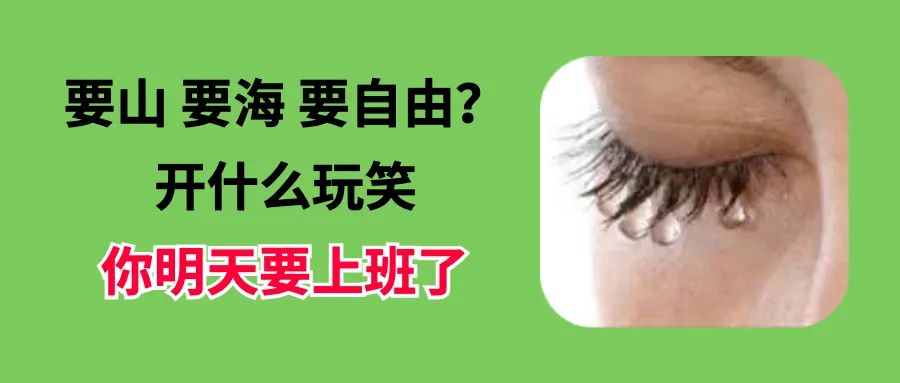 c85276a9656e83600a8a1905e4718b51